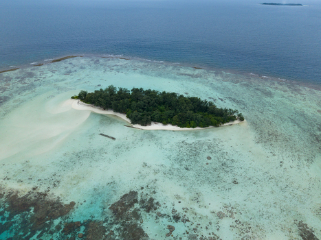 Aerial view of the serene Cemara Kecil Island where turquoise waters meet the lush greenery creating a tranquil paradise Karimunjawa Central Java Indonesia.