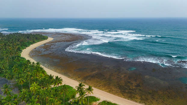 Aerial view of a tropical beach with lush palm trees lining the sandy shore and turquoise waves crashing against the reef in Indonesia. Aerial view of a tropical beach with lush palm trees lining the sandy shore and turquoise waves crashing against the reef in Indonesia.