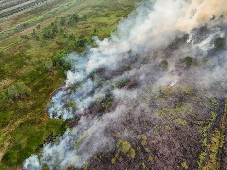 Aerial view of a forest fire burning through peatland with thick smoke plumes rising over the landscape in Banjarbaru South Kalimantan Indonesia.