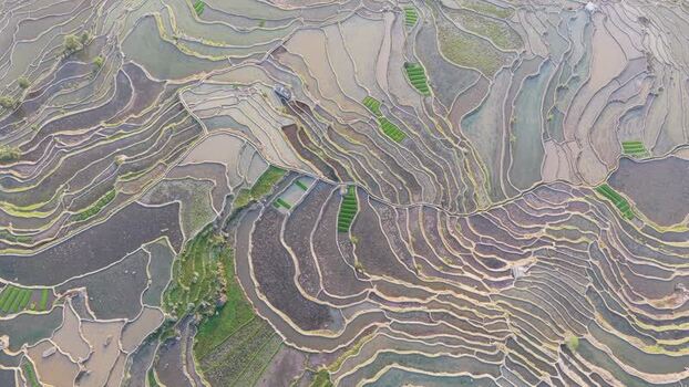Aerial view of Samaba Rice Terraces China.