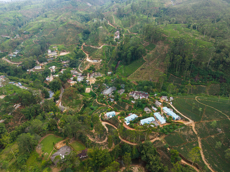 Aerial view of a small village nestled among lush green tea plantations and winding mountain roads in Nallathanniya Central Province Sri Lanka. Aerial view of a small village nestled among lush green tea plantations and winding mountain roads in Nallathanniya Central Province Sri Lanka.