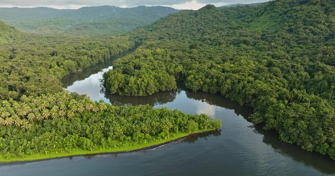 Aerial view of a winding river flowing through a dense tropical rainforest with lush green vegetation and palm trees Solomon Islands. Aerial view of a winding river flowing through a dense tropical rainforest with lush green vegetation and palm trees Solomon Islands.