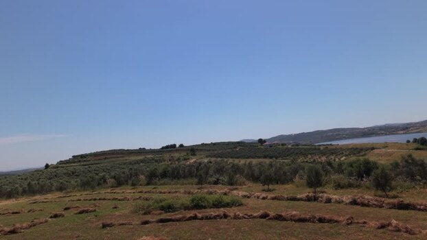 Aerial view of olive groves and rolling hills Albania.