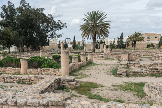View of ancient Roman ruins with stone columns low walls and palm trees in El Jem Gouvernorat de Mahdia Tunisia.