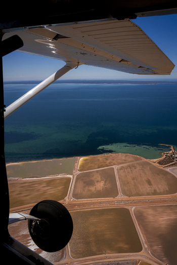 Aerial view of salt production evaporation ponds with geometric patterns along the coastline near Kalbarri Western Australia Australia. Aerial view of salt production evaporation ponds with geometric patterns along the coastline near Kalbarri Western Australia Australia.