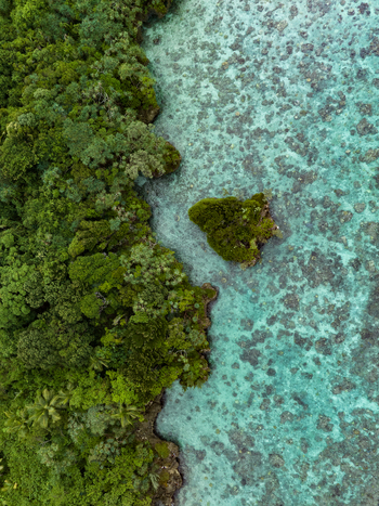 Aerial view of the vibrant green forest meeting the turquoise water where land and sea converge in a stunning display of nature s beauty Hunete Loyalty Islands Province New Caledonia. Aerial view of the vibrant green forest meeting the turquoise water where land and sea converge in a stunning display of nature s beauty Hunete Loyalty Islands Province New Caledonia.