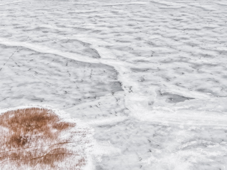 Aerial view of the frozen surface of Lake Galve with intricate ice patterns and a patch of brown reeds near the shore in Trakai Vilnius County Lithuania. Aerial view of the frozen surface of Lake Galve with intricate ice patterns and a patch of brown reeds near the shore in Trakai Vilnius County Lithuania.