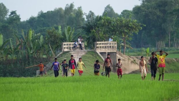View of children walking through a green rice field Bangladesh. View of children walking through a green rice field Bangladesh.