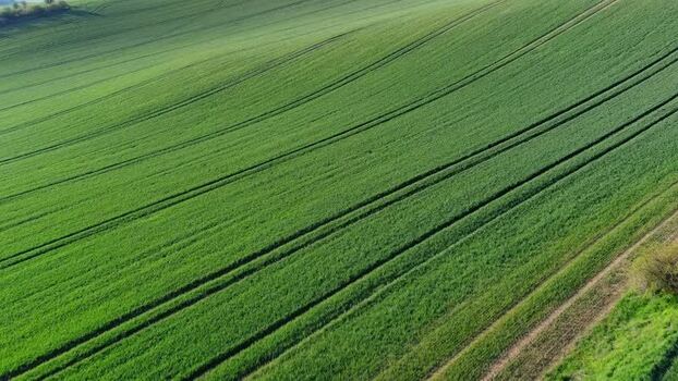 Aerial view of rolling green fields Czechia.