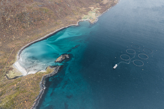 Aerial view of a fish farm with circular pens in the turquoise waters of a bay near Senja featuring a service boat and rugged rocky coastline in Botnhamn Troms Norway.