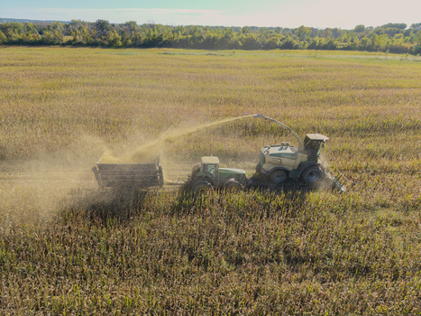 Green Bay Wisconsin United States 25 September 2026 Aerial view of a forage harvester chopping corn for silage in a large field with a tractor pulling a trailer.