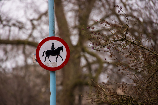 View of a circular no horse riding road sign with a red border and black silhouette on a blue pole against blurred trees in London England United Kingdom. View of a circular no horse riding road sign with a red border and black silhouette on a blue pole against blurred trees in London England United Kingdom.