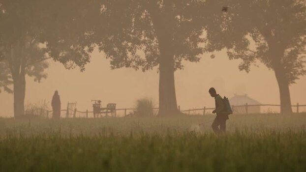 View of a farmer spraying crops in a misty field in Bogura Bangladesh.