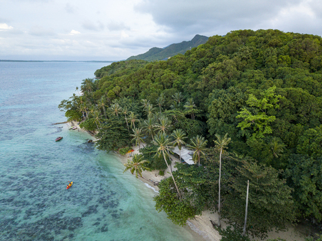Aerial view of the beach with turquoise waters meeting the lush green forest Tanjung Gelam Beach Karimunjawa Central Java Indonesia. Aerial view of the beach with turquoise waters meeting the lush green forest Tanjung Gelam Beach Karimunjawa Central Java Indonesia.