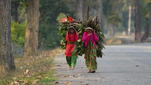View of women carrying firewood on a road in Dhangadhi Nepal.