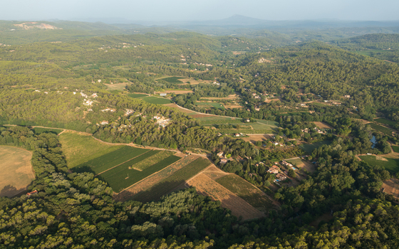 Aerial view of the rolling landscape of Provence featuring lush vineyards agricultural fields dense forests and scattered stone houses in Provence Alpes Cote d Azur France.
