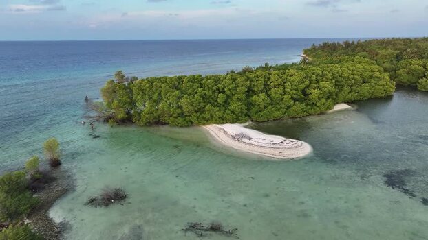 Aerial view of lush mangroves and a white sand beach Maldives. Aerial view of lush mangroves and a white sand beach Maldives.