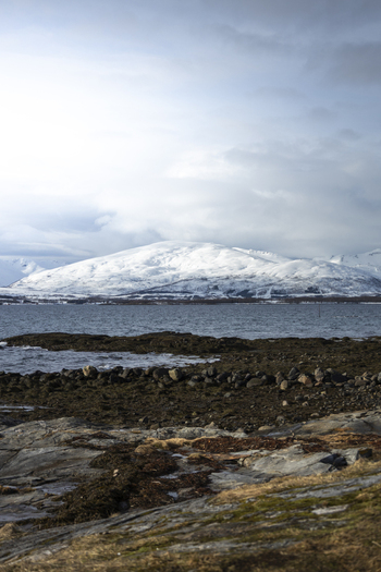 View of snow capped mountains across a fjord from a rocky shoreline under a cloudy sky in Tromso Troms Norway.
