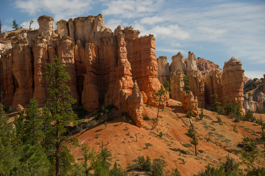 View of the iconic red rock hoodoos and pine trees at Bryce Canyon National Park Utah United States.