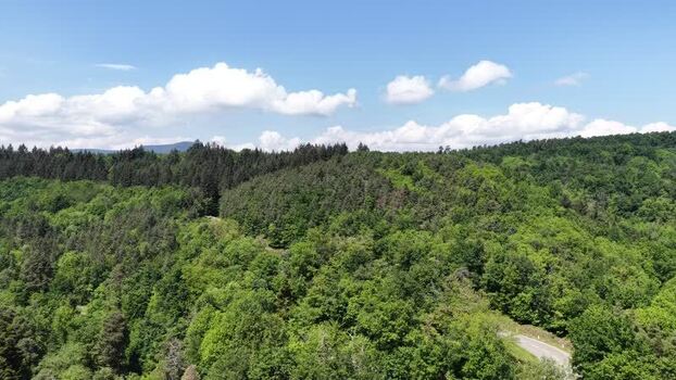 Aerial view of dense green forest and hills in Selestat France.