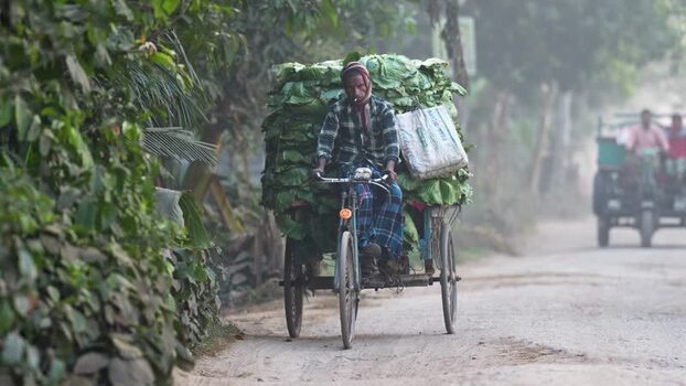 View of a man transporting vegetables on a rickshaw van Bangladesh. View of a man transporting vegetables on a rickshaw van Bangladesh.