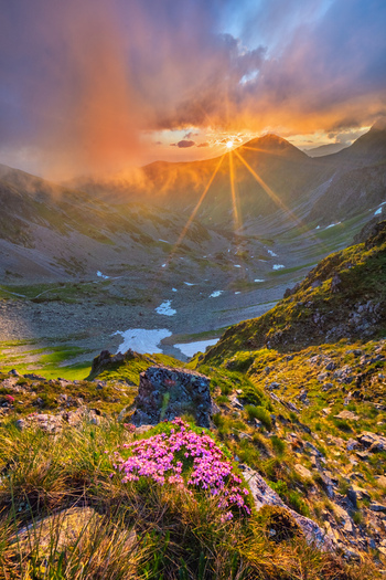 View of Smutne sedlo in Western Tatras with pink flowers in the foreground and sun rays over the mountain peaks during sunset Ziar Zilina Region Slovakia. View of Smutne sedlo in Western Tatras with pink flowers in the foreground and sun rays over the mountain peaks during sunset Ziar Zilina Region Slovakia.