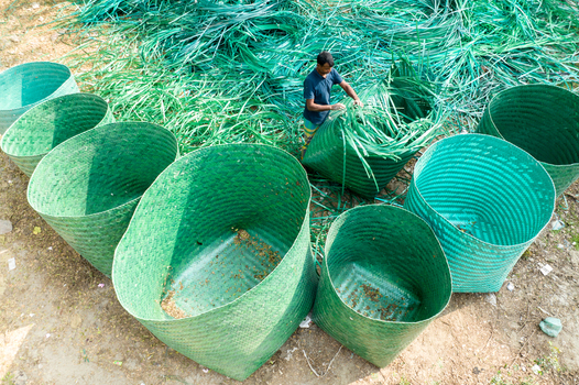 Manikganj Bangladesh 15 January 2025 Aerial view of a worker surrounded by vibrant green baskets handling the bright material in a field. Manikganj Bangladesh 15 January 2025 Aerial view of a worker surrounded by vibrant green baskets handling the bright material in a field.