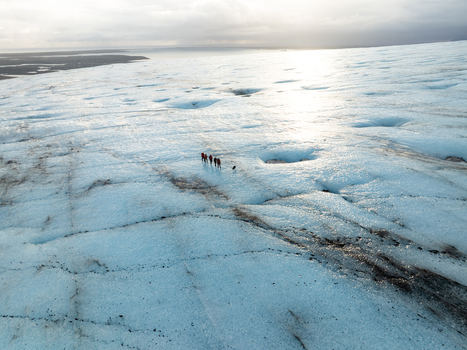Aerial view of Breidamerkurjokull glacier with a group of hikers walking across the icy surface featuring deep crevasses and bright sunlight in Sveitarfelagid Hornafjordur Iceland. Aerial view of Breidamerkurjokull glacier with a group of hikers walking across the icy surface featuring deep crevasses and bright sunlight in Sveitarfelagid Hornafjordur Iceland.