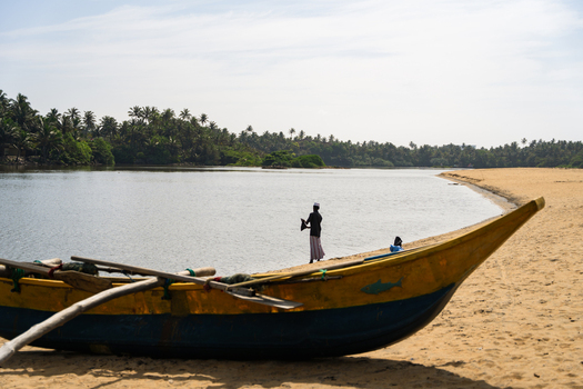 Sri Lanka 09 January 2026 View of a traditional wooden outrigger boat on a sandy beach with a fisherman standing by the calm water and tropical palm trees.