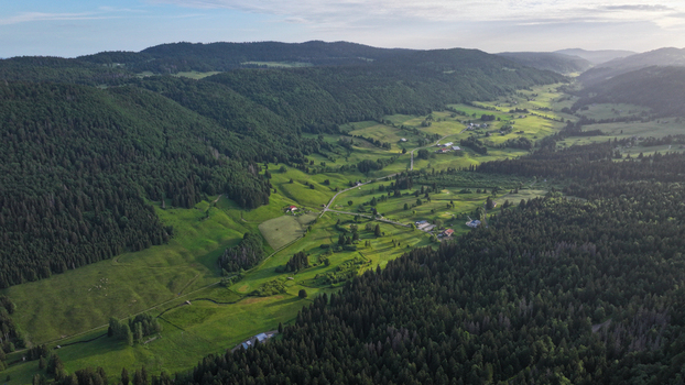 Aerial view of the lush green valley at Col de la Faucille with dense pine forests rolling meadows and scattered farmhouses in Gex Auvergne Rhone Alpes France.