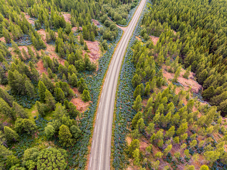 Aerial view of a winding asphalt road cutting through a dense coniferous forest with rugged terrain in Iceland. Aerial view of a winding asphalt road cutting through a dense coniferous forest with rugged terrain in Iceland.