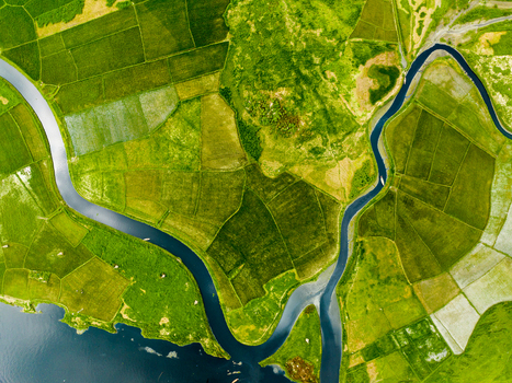 Aerial view of lush green agricultural fields and winding river channels in the rural landscape of Dhaka Dhaka Division Bangladesh. Aerial view of lush green agricultural fields and winding river channels in the rural landscape of Dhaka Dhaka Division Bangladesh.