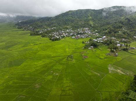 Aerial view of the Lingko Spider Web Rice Fields with lush green terraces arranged in a unique radial pattern nestled near a village and rolling hills in Ruteng East Nusa Tenggara Indonesia.