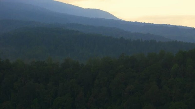 Aerial view of lush forested hills and mountain ridges Indonesia. Aerial view of lush forested hills and mountain ridges Indonesia.
