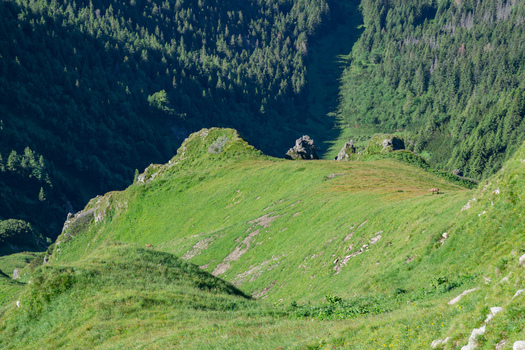 View of the lush green slopes of Zdiarska vidla in the Belianske Tatry mountains with rocky peaks and dense pine forests in Zdiar Presov Region Slovakia. View of the lush green slopes of Zdiarska vidla in the Belianske Tatry mountains with rocky peaks and dense pine forests in Zdiar Presov Region Slovakia.
