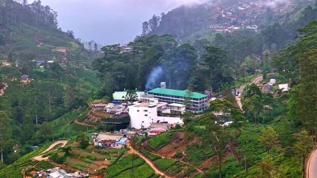 Aerial view of tea plantation and buildings Sri Lanka.