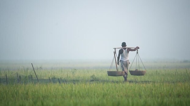 View of a farmer carrying baskets through misty fields Bangladesh.