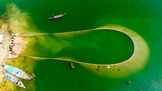 Aerial view of fishermen using a large net in the green waters of Kaptai Lake with traditional wooden boats moored at the shore in Rangamati Chittagong Division Bangladesh.