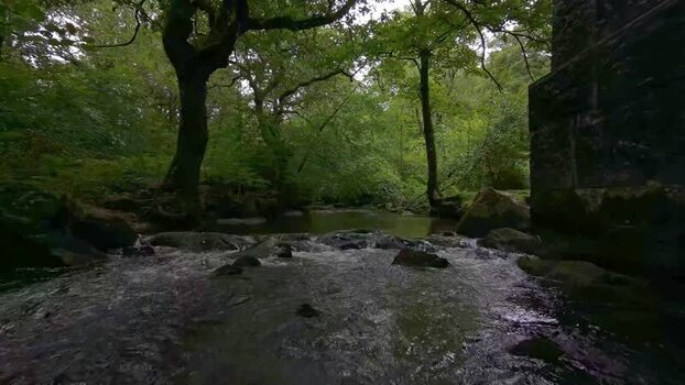 FPV aerial view of Treffry Viaduct and River Par United Kingdom. FPV aerial view of Treffry Viaduct and River Par United Kingdom.