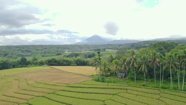 Aerial view of rice terraces and a volcano Indonesia.