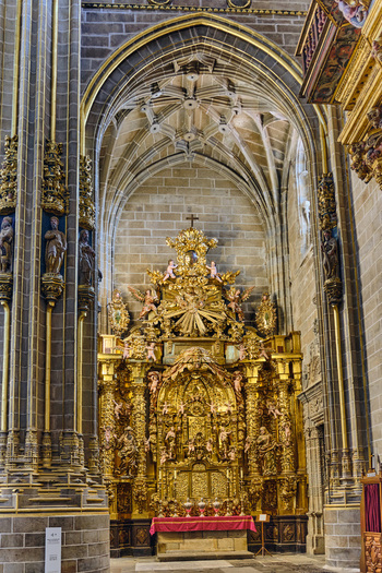 Plasencia Spain 03 December 2025 View of the ornate golden altarpiece of the Catedral Nueva de Plasencia with its intricate carvings and vaulted stone ceiling. Plasencia Spain 03 December 2025 View of the ornate golden altarpiece of the Catedral Nueva de Plasencia with its intricate carvings and vaulted stone ceiling.