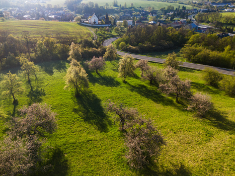Aerial view of the historic Church of St. Martin and blossoming fruit trees in the rural landscape of Cerin Banskobystricky kraj Slovakia. Aerial view of the historic Church of St. Martin and blossoming fruit trees in the rural landscape of Cerin Banskobystricky kraj Slovakia.