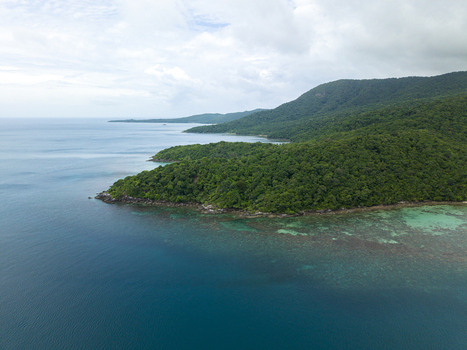 Aerial view of the vibrant turquoise sea meeting the lush green tropical island at Annora beach Karimunjawa Jawa Tengah Indonesia.