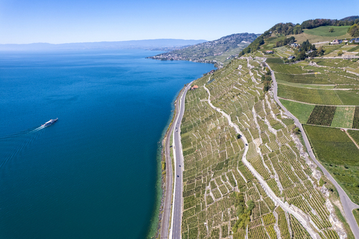 Aerial view of the Vignoble du Lavaux vineyard terraces sloping down to Lake Geneva with a boat on the water and a coastal road in Rivaz Vaud Switzerland.