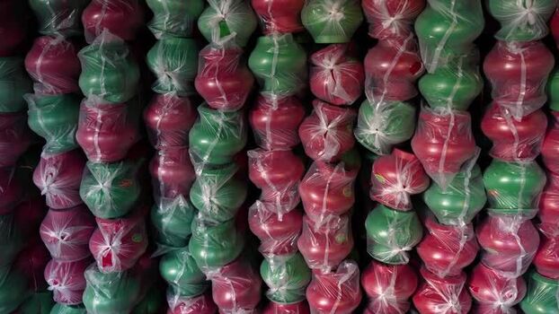 View of rows of red and green clay pots in Bogura Bangladesh. View of rows of red and green clay pots in Bogura Bangladesh.