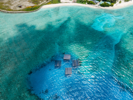 Aerial view of the SolarSea floating solar power plant by Swimsol on turquoise waters near the tropical coastline of Dharavandhoo Baa Atoll Maldives. Aerial view of the SolarSea floating solar power plant by Swimsol on turquoise waters near the tropical coastline of Dharavandhoo Baa Atoll Maldives.
