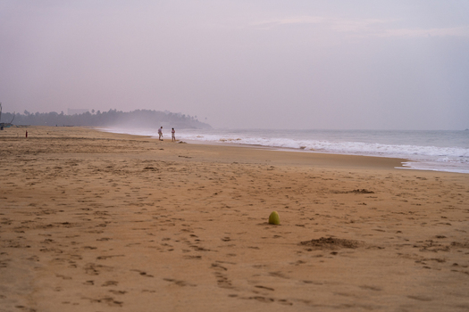 View of a wide sandy beach with a green coconut in the foreground and people standing near the ocean waves under a hazy sky Galle Southern Province Sri Lanka.