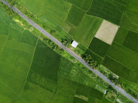 Aerial view of a paved road cutting through vibrant green rice paddies with small trees and a white building in Joypurhat Rajshahi Division Bangladesh. Aerial view of a paved road cutting through vibrant green rice paddies with small trees and a white building in Joypurhat Rajshahi Division Bangladesh.