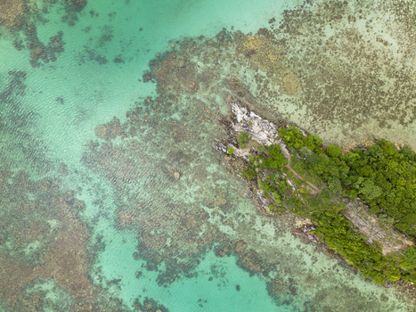 Aerial view of the vibrant turquoise waters surrounding a small island with lush green vegetation and rocky outcrops Annora beach Karimunjawa Jawa Tengah Indonesia.