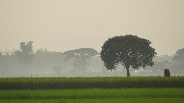 View of people walking through green fields in Bogura Bangladesh.